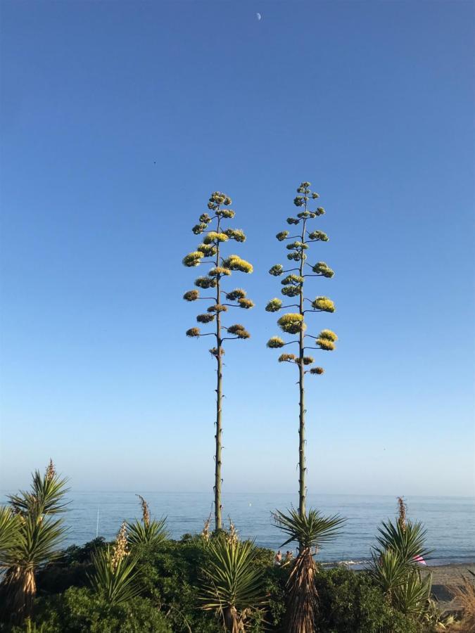 Marbella - Estepona Beach Frontline Apartment Zewnętrze zdjęcie